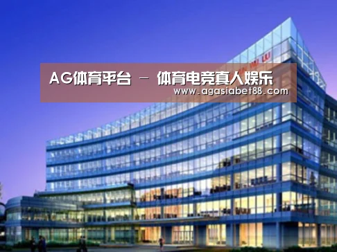 AG电子案例展示三