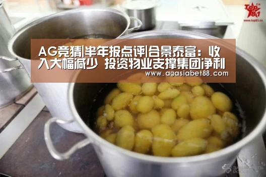AG竞猜|半年报点评|合景泰富:收入大幅减少 投资物业支撑集团净利(图4) AG竞猜