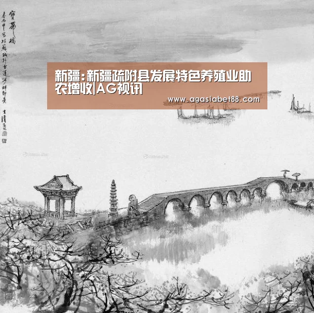 AG视讯